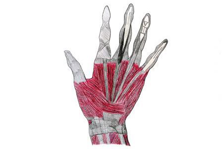 Orthopädietechnik Orthopädietechnik